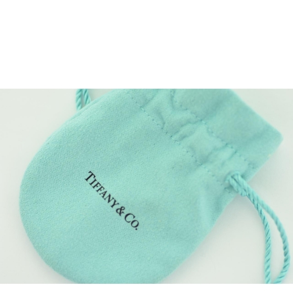 - TIFFANY & Co. LUXURY 🐕 Dog tag - Picture 5 of 9